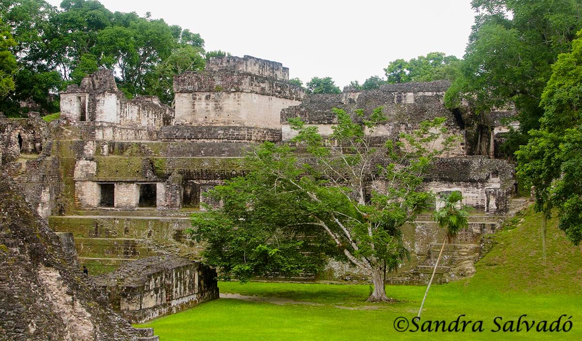 Tikal, the imposing Mayan world 5