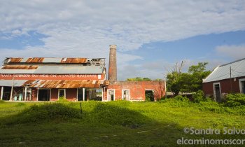 Get to know the only farm in Mérida in operation to the west: Hacienda San Miguel Chac